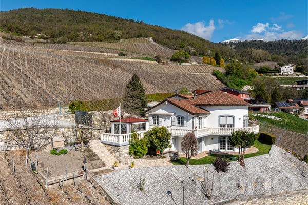 Villa d'exception - Vue panoramique - 3 logements 3