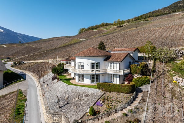 Villa d'exception - Vue panoramique - 3 logements