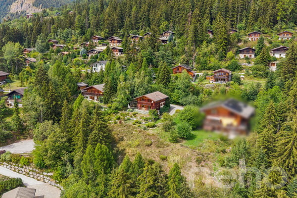 Charmant Chalet avec grand terrain et vue dégagée à Arbaz 7