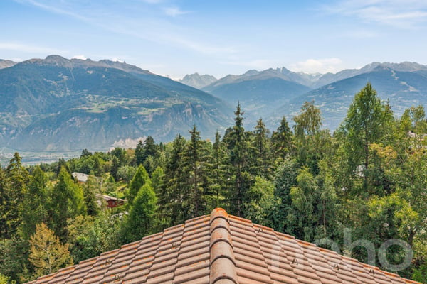 Charmant Chalet avec grand terrain et vue dégagée à Arbaz 5