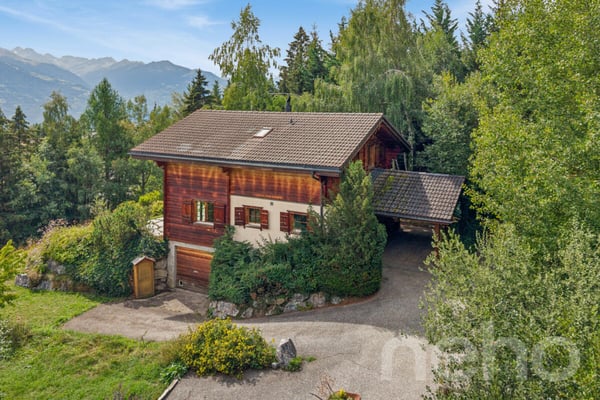 Charmant Chalet avec grand terrain et vue dégagée à Arbaz 4