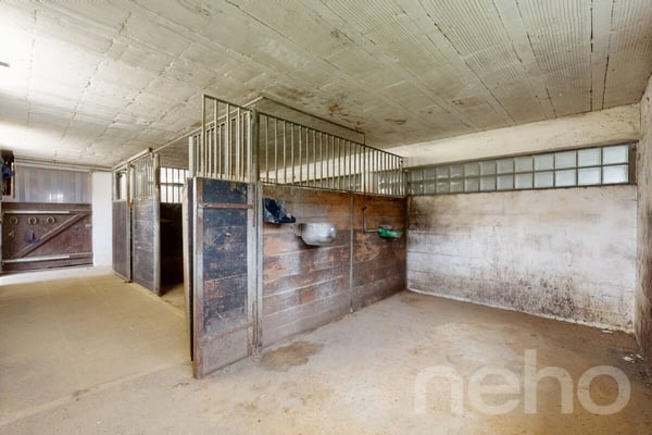 Idyllische Wohnung ideal für Pferdeliebhaber 10
