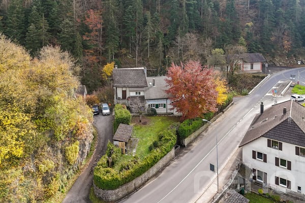 Prime location Home with 2 units, large garden and forest views 12