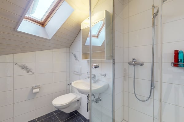 Dachwohnung mit fantastischer Bergsicht 11