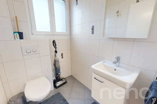 Grand Attique avec terrasse de 60m² et vue sur les montagnes. 12