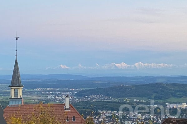 Grosszügige Attikawohnung mit Blick auf die Alpen