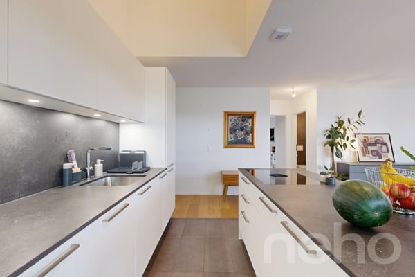 DUPLEX CONTEMPORAIN LUMINEUX, M1 ET EPFL À QUELQUES PAS 5