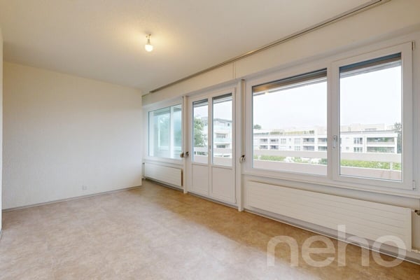 Superbe duplex familial de 7 pièces à Thônex 8