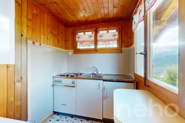 Chalet face aux sommets, idéal résidence secondaire 5
