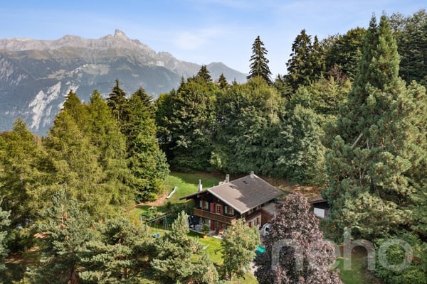 Les Giettes ? Chalet de caractère sur un terrain d'exception 2