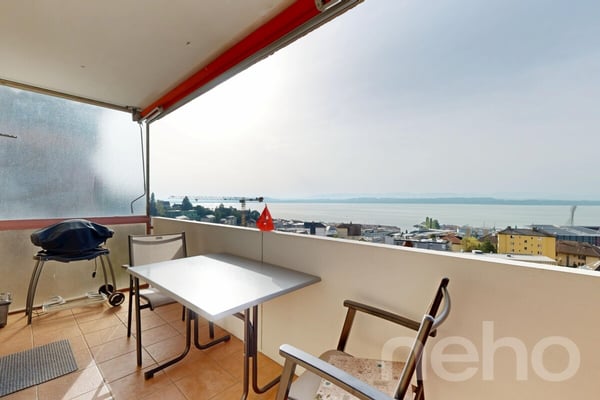 Appartement 2.5 pièces vue panoramique sur le lac 3