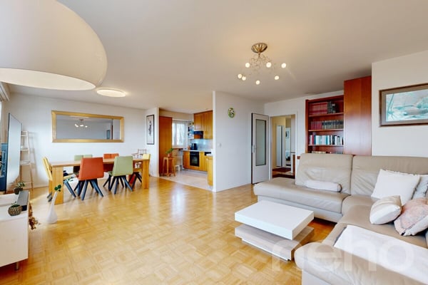 Appartement 2.5 pièces vue panoramique sur le lac 2