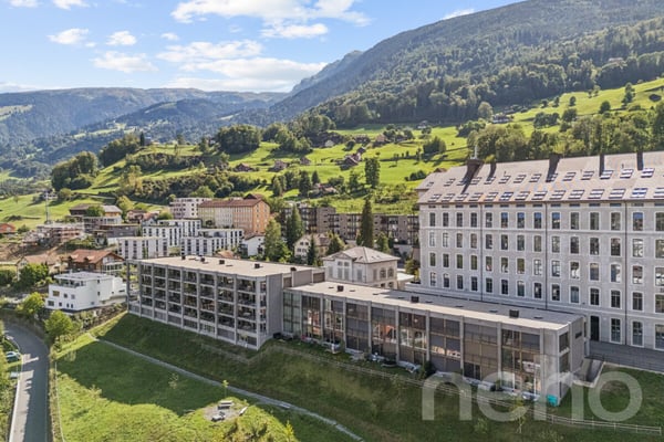 6.5-Zimmer-Townhouse im Uptown Mels mit Panoramablick 1