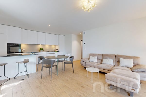 Appartement 2.5 pces, terrasse 36m2 au bord du lac 3