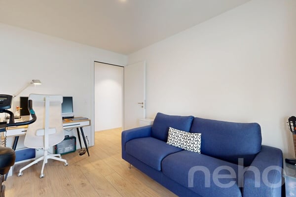 Appartement 2.5 pces, terrasse 36m2 au bord du lac 5