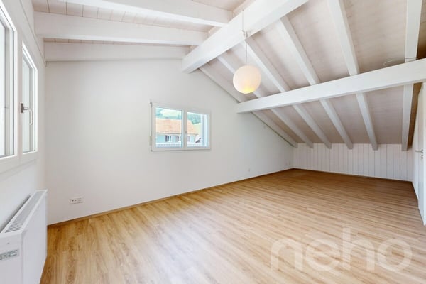 Einfamilienhaus mit über 260 m² Nutzfläche und grosser Garage 11