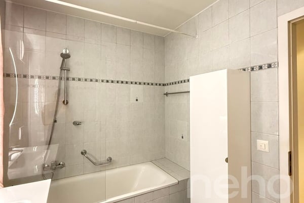 Appartement spacieux, lumineux et vue apprenable sur le lac ! 8
