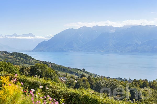 Magnifique villa individuelle avec vue imprenable sur le lac à Belmont