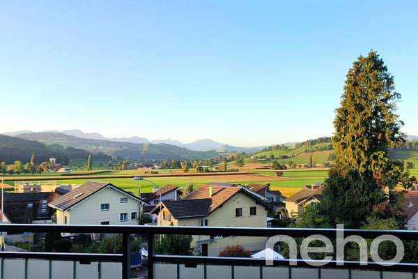 Dachwohnung mit fantastischer Bergsicht 4