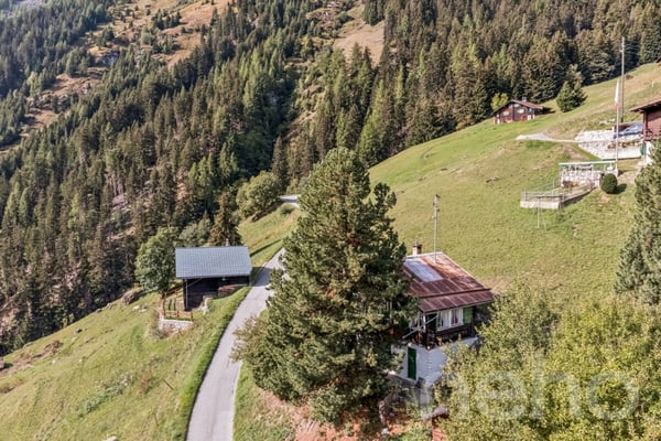 Mayen de caractère avec grand terrain à Hérémence. 3