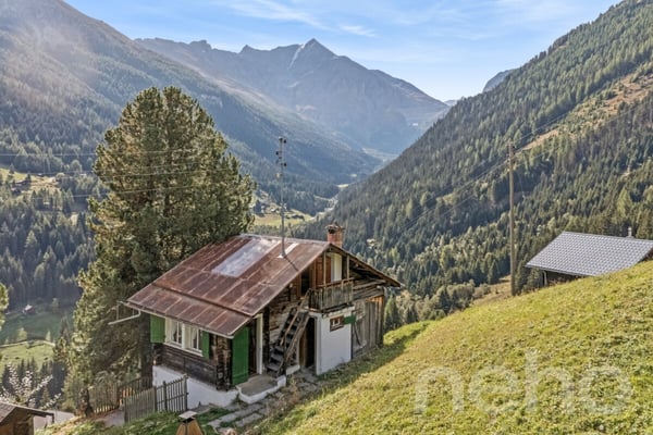 Mayen de caractère avec grand terrain à Hérémence. 4