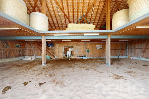 Bauernhof mit Seele - Wohnen, Wellness und Pferdehaltung an einem Ort 9