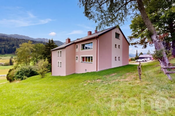 Ihr Rückzugsort in den Bergen - renoviert und bezugsbereit 2