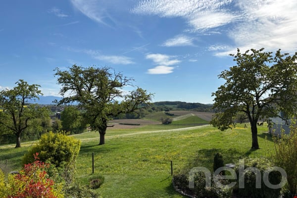Appartement de 4.5 pièces avec vue dégagée à Gollion 10