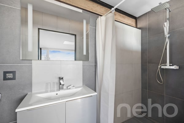 Hôtel à vendre : 26 chambres, 18'319 m² de terrain, vue sur le lac 8