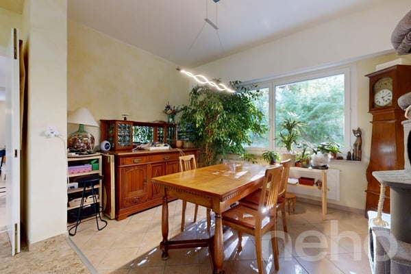 Magnifique maison 6.5 pièces sur 1'681 m² 7
