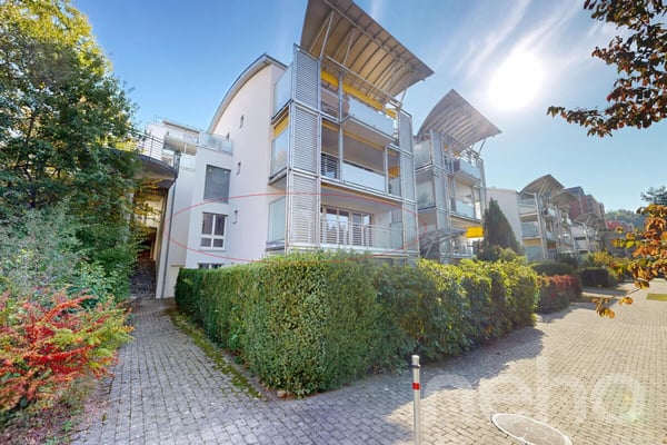 Sonniges Zuhause mit viel Potenzial 12