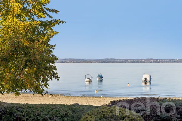 Einmalige Rarität am Bodensee ? exklusives Seegrundstück in Kesswil 5
