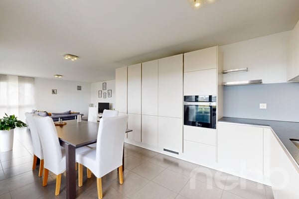 Lumineux 4.5p familial : terrasse 24m² & suite parentale 4