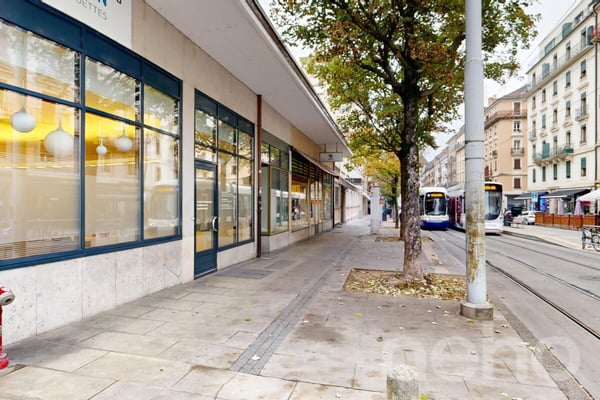 Charmant appartement à deux pas de Carouge 12