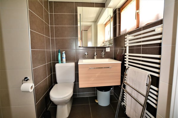 Joli appartement meublé de 1.5 pièces à Boncourt 5