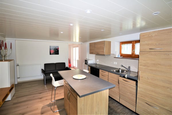 Joli appartement meublé de 1.5 pièces à Boncourt 1