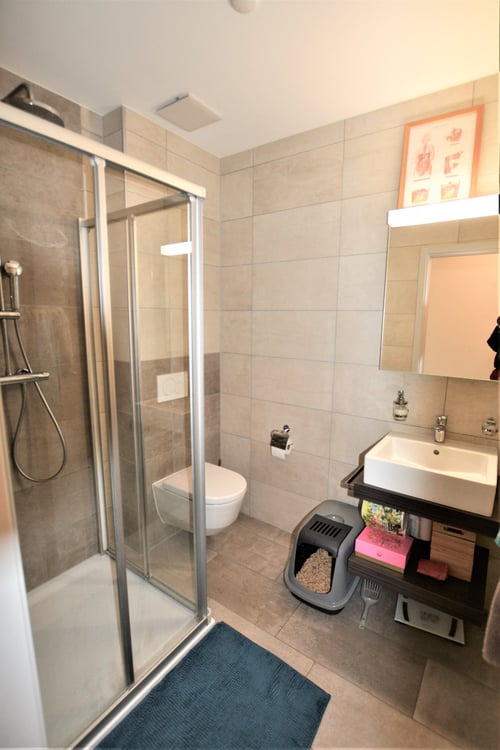 Très bel appartement de 3,5 pièces en PPE à Courrendlin 10