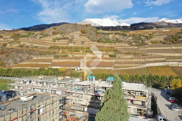 1er étage - Orientation OUEST 2