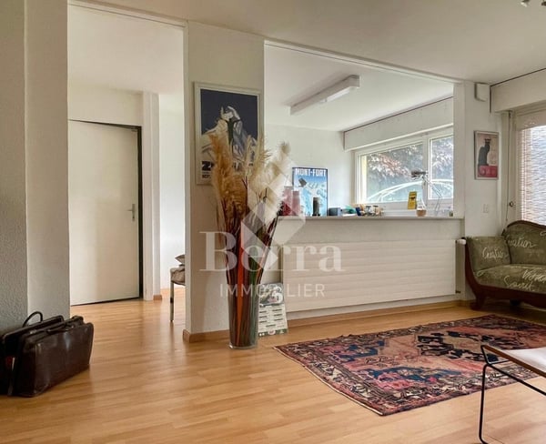 Magnifique maison individuelle 13