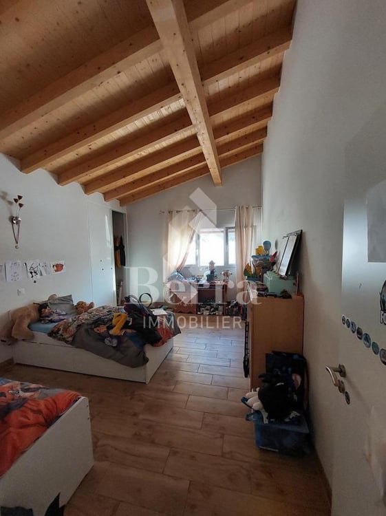 Saxon ! Halle industrielle + espace de stockage + surface commerciale + appartement de fonction! 9