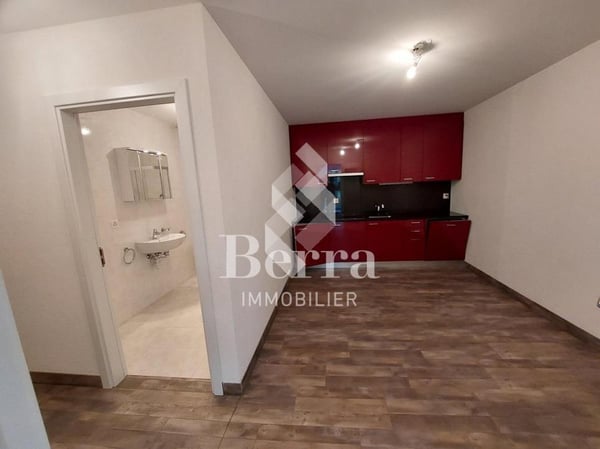 Saxon ! Halle industrielle + espace de stockage + surface commerciale + appartement de fonction! 13