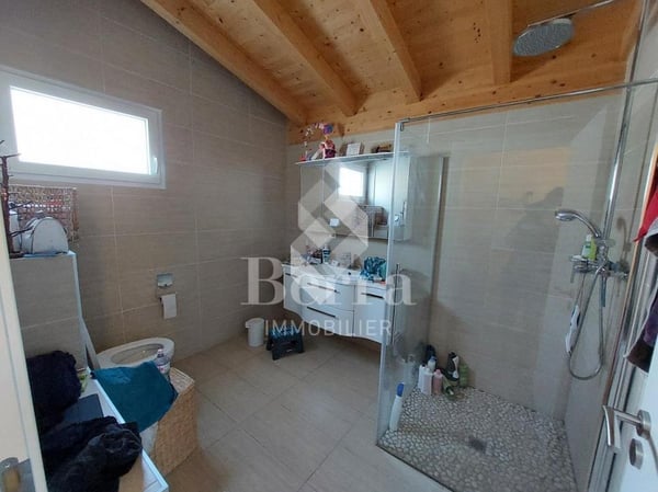 Saxon ! Halle industrielle + espace de stockage + surface commerciale + appartement de fonction! 11