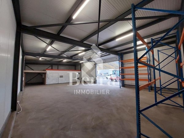 Saxon ! Halle industrielle + espace de stockage + surface commerciale + appartement de fonction! 1