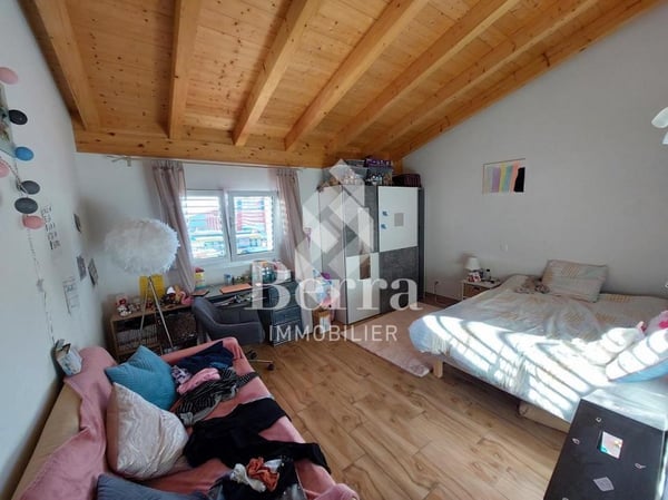 Saxon ! Halle industrielle + espace de stockage + surface commerciale + appartement de fonction! 8