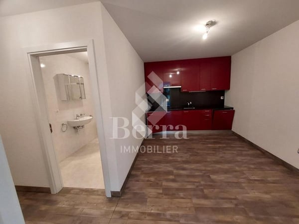 Saxon ! Halle industrielle + espace de stockage + surface commerciale + appartement de fonction! 13