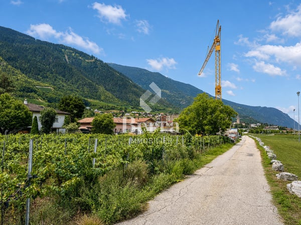 Villas jumelées à Chalais 6