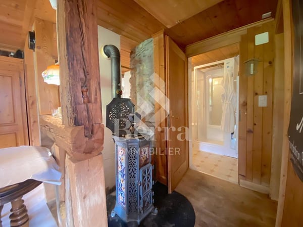 Appartement - Terrasse et terrain pour aggrandissement ! 10