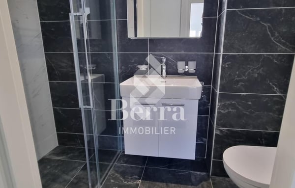 Immeuble à Delémont 11