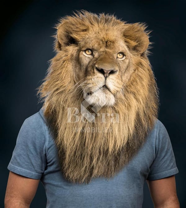 Le Pied du Château : authenticité et cachet, chantier en cours 13