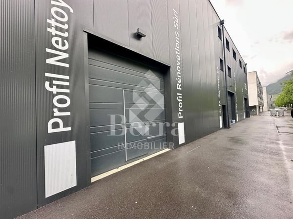 Box-halle avec porte sectionnelle 3